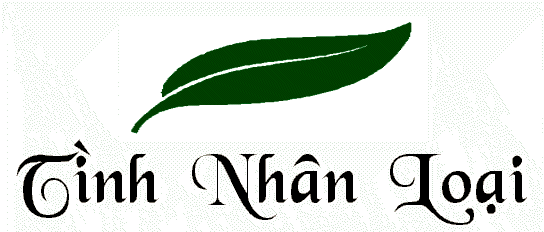 bai5_hdr.gif (17786 bytes)