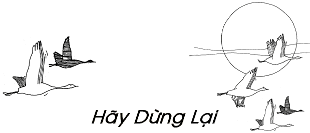 bai8_hdr.gif (12684 bytes)