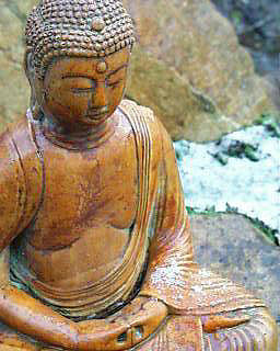 main_image.gif (26026 bytes)